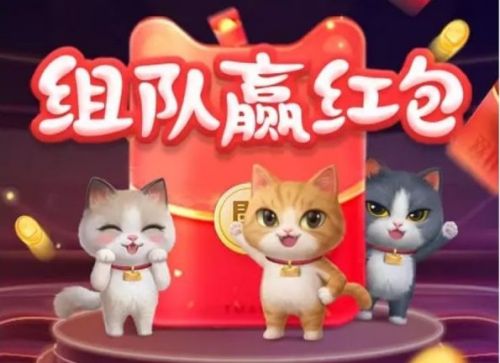 猫的游戏活动,锻炼身心共成长(图2)