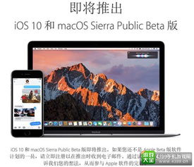 mac4399游戏,mac4399游戏平台带你畅游虚拟世界(图2)