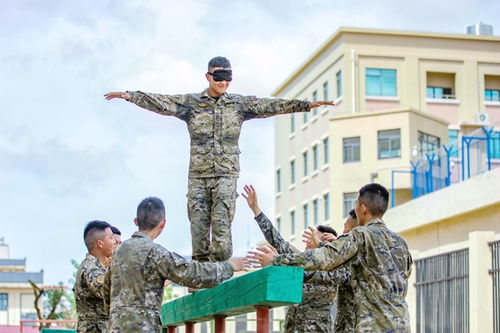 部队心理行为训练游戏,部队心理行为训练游戏助力官兵身心成长(图3)