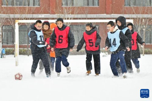 雪地足球游戏,重温童年足球记忆的欢乐时光(图2)