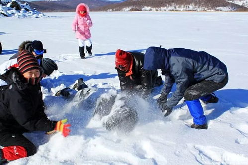 雪地打滚游戏,打滚游戏的欢乐瞬间(图1)