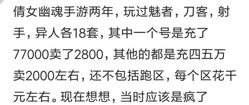 写土豪玩游戏的小说,从虚拟世界走向现实财富的传奇之旅(图1)