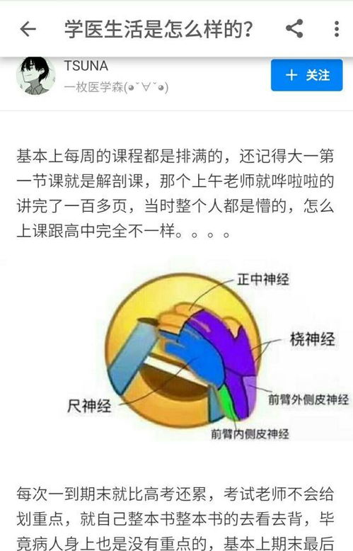 学医打游戏,学医路上的游戏启示录(图2)