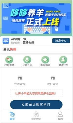 哆哆养羊 (图1)