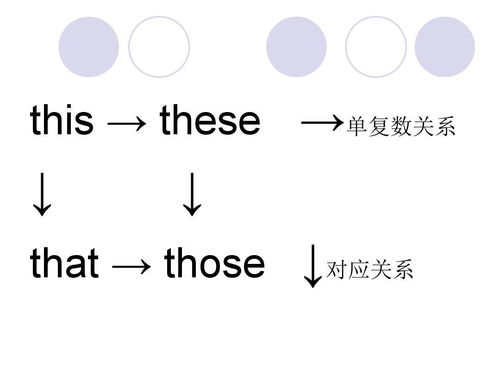 练音标游戏,趣味练音标游戏体验记(图1)