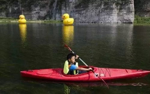 静水艇游戏,智勇对决的海洋冒险之旅(图2)