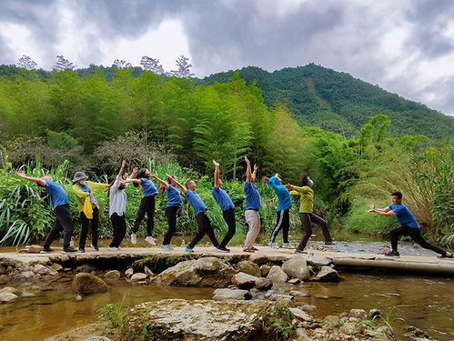 自然共生游戏,探索生态平衡与和谐共生的游戏体验之旅(图3)