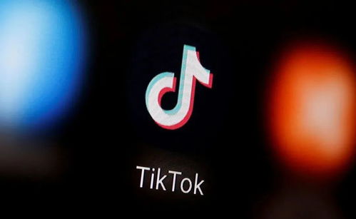 tiktokplugin (图3)