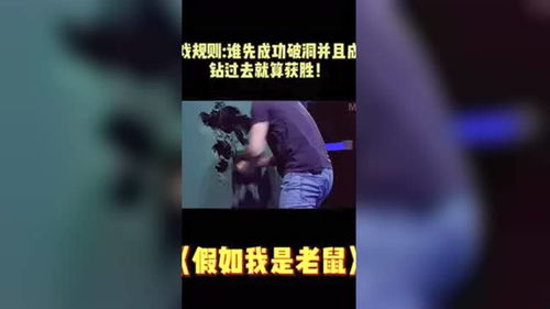 鼠钻洞游戏,小班幼儿“鼠钻洞”体育游戏体验(图1)