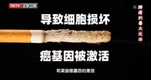 烟酒游戏害人,人生健康警钟长鸣(图1)