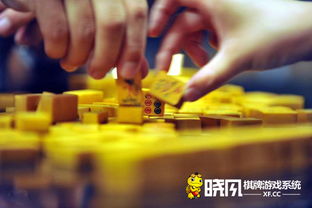 棋牌游戏能,指尖上的欢乐时光(图1)