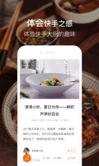 app游戏做菜,跟随APP游戏解锁烹饪新境界(图1)