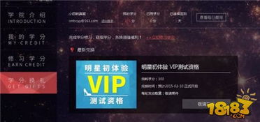 情侣游戏vip,解锁VIP专属功能的情侣游戏盛宴(图1)