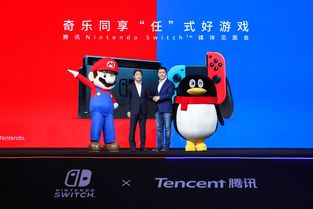 switc买游戏,SWITCH平台游戏精选攻略与心得分享(图3)