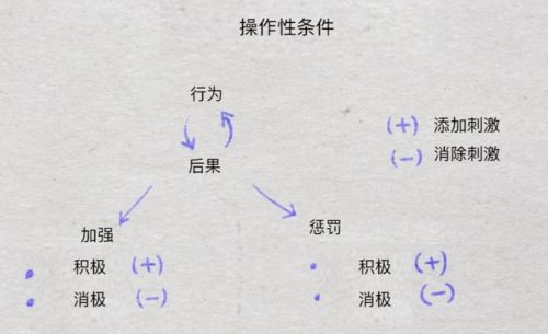 户组词游戏,户组词游戏带你领略汉语魅力(图3)