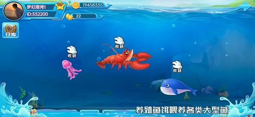 梦幻海湾游戏,探索神秘海域的奇幻冒险之旅(图3)