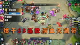 胡游戏解说,深度解析游戏魅力与技巧(图2) 胡游戏解说,深度解析游戏魅力与技巧(图2)