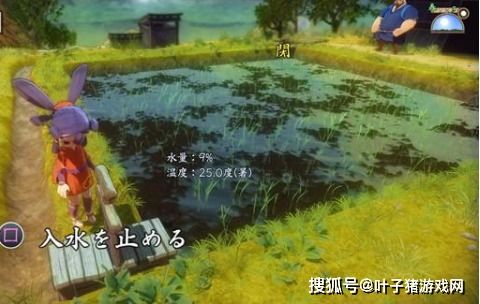 稻田版游戏,收获快乐与知识(图3) 稻田版游戏,收获快乐与知识(图3)