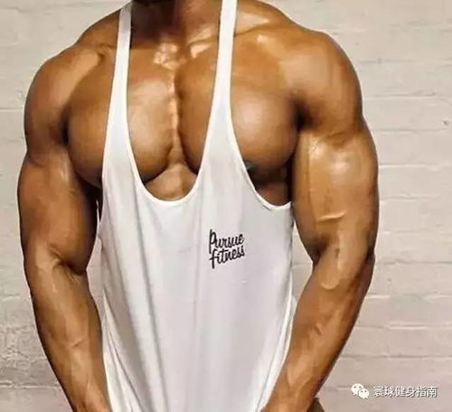 游戏男生腹肌,探寻神秘腹肌角色的秘密之旅(图1) 游戏男生腹肌,探寻神秘腹肌角色的秘密之旅(图1)