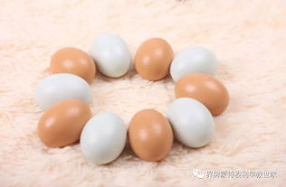 鸡蛋炒游戏,传统游戏中的智慧与趣味(图3) 鸡蛋炒游戏,传统游戏中的智慧与趣味(图3)