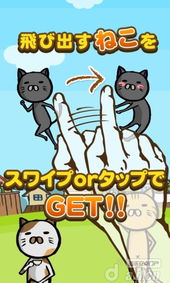 逮猫猫游戏,捉猫猫游戏的欢乐时光(图1) 逮猫猫游戏,捉猫猫游戏的欢乐时光(图1)