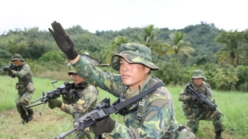 台湾军游戏,传承爱国精神(图1) 台湾军游戏,传承爱国精神(图1)