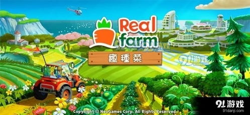 蔬菜游乐场 (图3) 蔬菜游乐场 (图3)