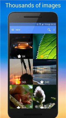 这里没有游戏错误维度手机版中文 