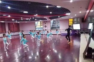 幼儿舞蹈课的舞蹈游戏,快乐成长
