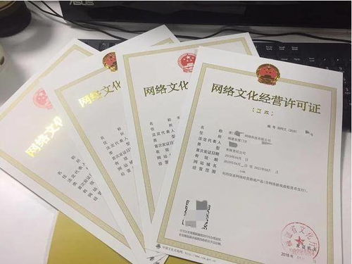 游戏厅文化证,娱乐场所合法经营的通行证