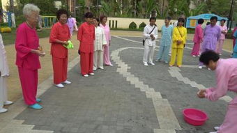 有关乒乓球的趣味游戏,趣味游戏中的乒乓球欢乐时光”(图1) 有关乒乓球的趣味游戏,趣味游戏中的乒乓球欢乐时光”(图1)