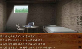 木屋游戏结局,悬疑谜案的惊悚结局揭秘(图3) 木屋游戏结局,悬疑谜案的惊悚结局揭秘(图3)