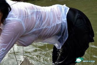 美女湿身游戏,美女湿身游戏魅力解析(图1) 美女湿身游戏,美女湿身游戏魅力解析(图1)