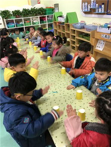 纸杯音乐游戏,探索音乐与游戏的奇妙融合(图1) 纸杯音乐游戏,探索音乐与游戏的奇妙融合(图1)