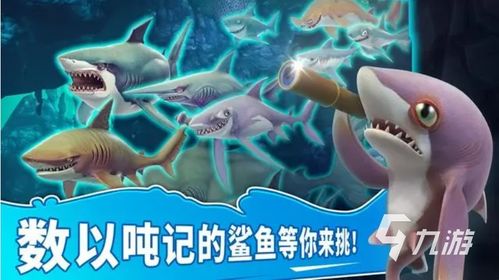 小小鲨鱼游戏,探索海洋奥秘的编程启蒙之旅(图3) 小小鲨鱼游戏,探索海洋奥秘的编程启蒙之旅(图3)