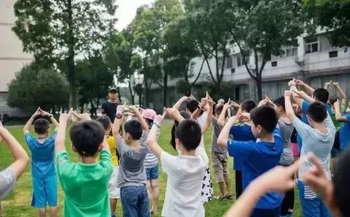 多人分组游戏,创意多人分组游戏体验全解析(图2) 多人分组游戏,创意多人分组游戏体验全解析(图2)