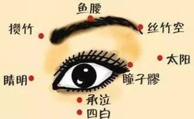 穴位游戏,提升战斗力的秘籍(图1) 穴位游戏,提升战斗力的秘籍(图1)