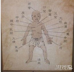 穴位游戏,提升战斗力的秘籍(图3) 穴位游戏,提升战斗力的秘籍(图3)