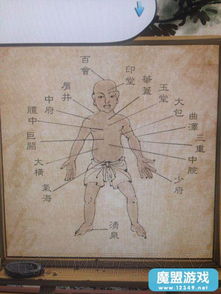 穴位游戏,提升战斗力的秘籍(图2) 穴位游戏,提升战斗力的秘籍(图2)