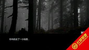 招魂橙光游戏,探寻未知恐怖世界(图2) 招魂橙光游戏,探寻未知恐怖世界(图2)