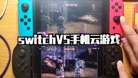 怀德花园switch游戏 