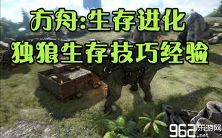 独狼生存游戏,荒野生存法则揭秘(图1) 独狼生存游戏,荒野生存法则揭秘(图1)