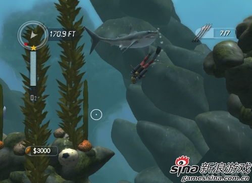 一款潜水游戏,潜入神秘海洋的奇幻之旅