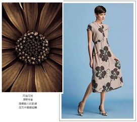 斯女人衣服的游戏,探索女性换装游戏的魅力世界(图1) 斯女人衣服的游戏,探索女性换装游戏的魅力世界(图1)