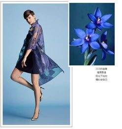 斯女人衣服的游戏,探索女性换装游戏的魅力世界(图2) 斯女人衣服的游戏,探索女性换装游戏的魅力世界(图2)