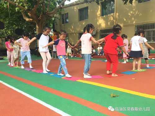 体育游戏老鼠笼,老鼠笼——培养幼儿追逐、躲闪与应变能力的趣味活动(图3) 体育游戏老鼠笼,老鼠笼——培养幼儿追逐、躲闪与应变能力的趣味活动(图3)