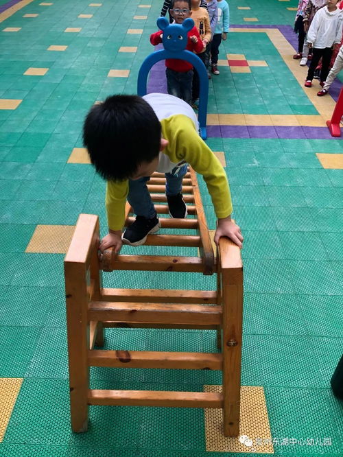 儿童攀爬游戏,儿童成长中的勇气与智慧之旅”(图1) 儿童攀爬游戏,儿童成长中的勇气与智慧之旅”(图1)