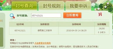 网络游戏帐号,探索网络游戏账号背后的奥秘