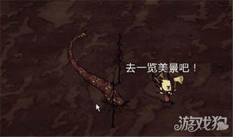 触手游戏种子,揭秘神秘种子背后的奥秘(图2) 触手游戏种子,揭秘神秘种子背后的奥秘(图2)