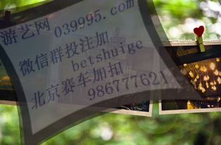 太仓视窗同城游戏,乐享互动时光(图1) 太仓视窗同城游戏,乐享互动时光(图1)